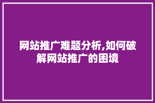网站推广难题分析,如何破解网站推广的困境