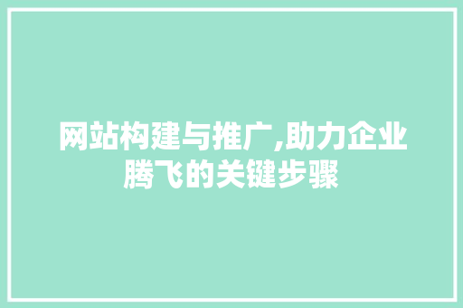 网站构建与推广,助力企业腾飞的关键步骤