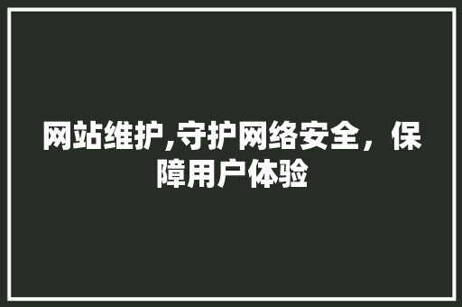 网站维护,守护网络安全，保障用户体验