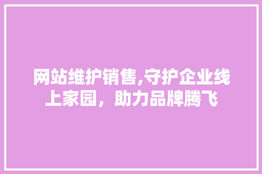 网站维护销售,守护企业线上家园，助力品牌腾飞 项目报告