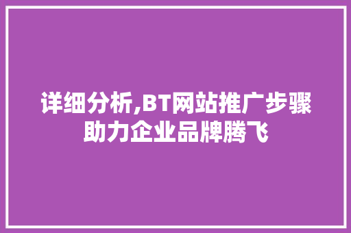 详细分析,BT网站推广步骤助力企业品牌腾飞