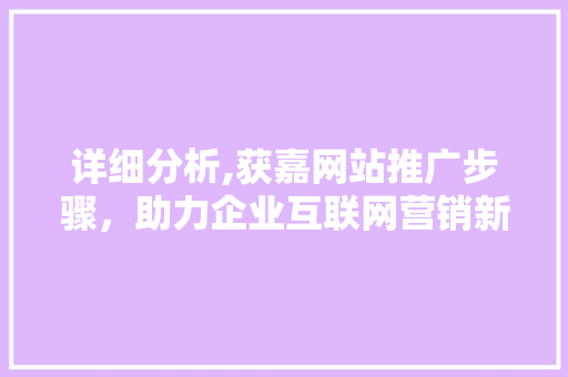 详细分析,获嘉网站推广步骤，助力企业互联网营销新突破