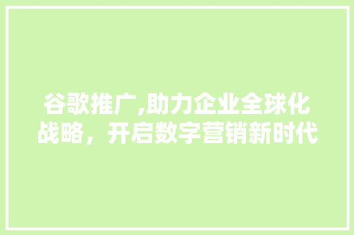 谷歌推广,助力企业全球化战略，开启数字营销新时代