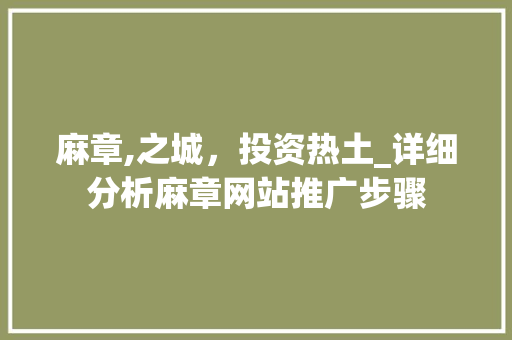 麻章,之城，投资热土_详细分析麻章网站推广步骤