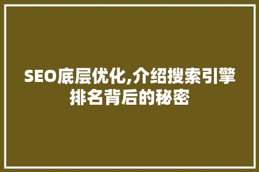 SEO底层优化,介绍搜索引擎排名背后的秘密