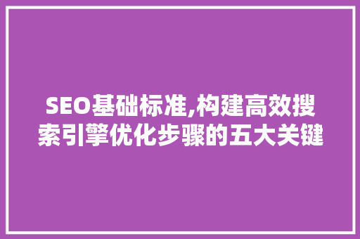 SEO基础标准,构建高效搜索引擎优化步骤的五大关键要素