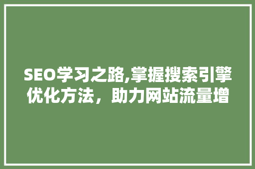 SEO学习之路,掌握搜索引擎优化方法，助力网站流量增长