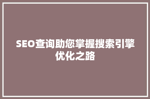 SEO查询助您掌握搜索引擎优化之路