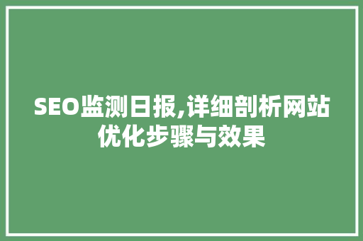 SEO监测日报,详细剖析网站优化步骤与效果