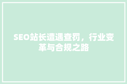 SEO站长遭遇查罚，行业变革与合规之路