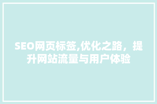 SEO网页标签,优化之路，提升网站流量与用户体验