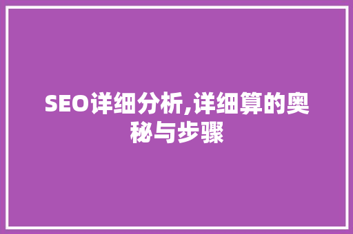SEO详细分析,详细算的奥秘与步骤
