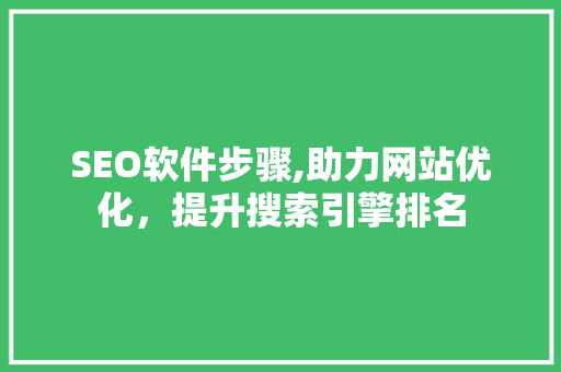 SEO软件步骤,助力网站优化，提升搜索引擎排名