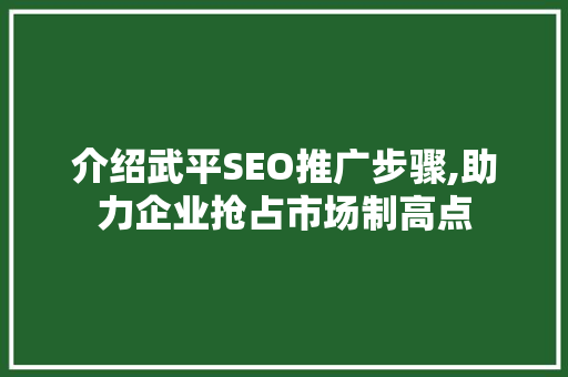 介绍武平SEO推广步骤,助力企业抢占市场制高点
