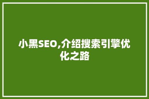 小黑SEO,介绍搜索引擎优化之路