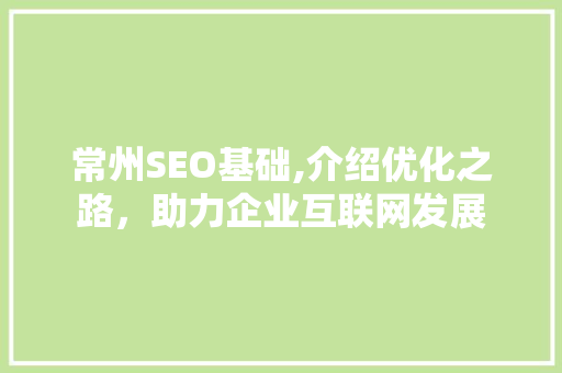 常州SEO基础,介绍优化之路，助力企业互联网发展