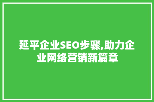 延平企业SEO步骤,助力企业网络营销新篇章
