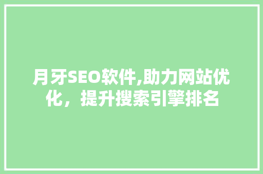 月牙SEO软件,助力网站优化，提升搜索引擎排名