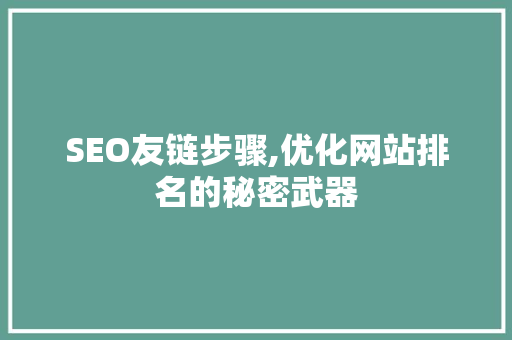 SEO友链步骤,优化网站排名的秘密武器