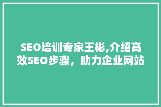SEO培训专家王彬,介绍高效SEO步骤，助力企业网站优化