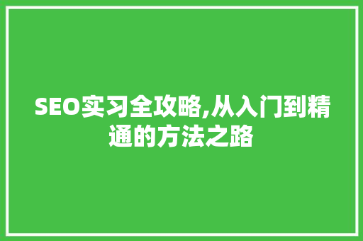 SEO实习全攻略,从入门到精通的方法之路
