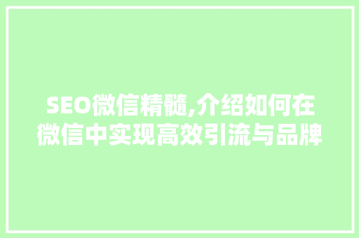 SEO微信精髓,介绍如何在微信中实现高效引流与品牌传播