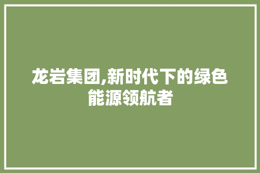 龙岩集团,新时代下的绿色能源领航者 响应式设计