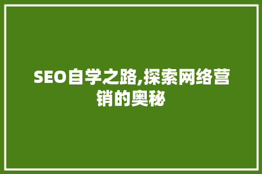 SEO自学之路,探索网络营销的奥秘
