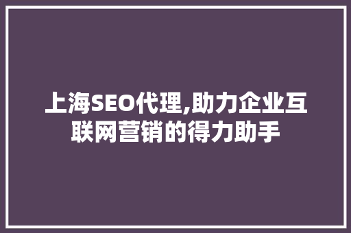 上海SEO代理,助力企业互联网营销的得力助手