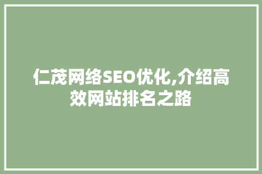 仁茂网络SEO优化,介绍高效网站排名之路 前端技术
