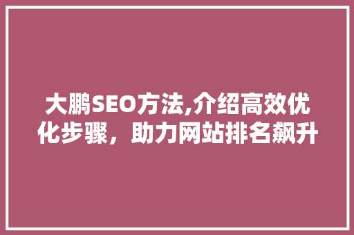 大鹏SEO方法,介绍高效优化步骤，助力网站排名飙升