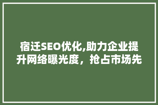 宿迁SEO优化,助力企业提升网络曝光度，抢占市场先机