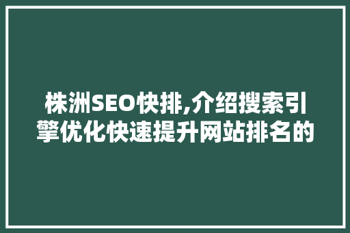 株洲SEO快排,介绍搜索引擎优化快速提升网站排名的步骤