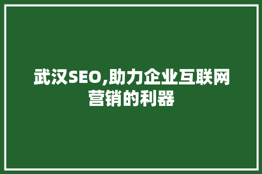 武汉SEO,助力企业互联网营销的利器