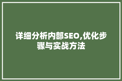 详细分析内部SEO,优化步骤与实战方法