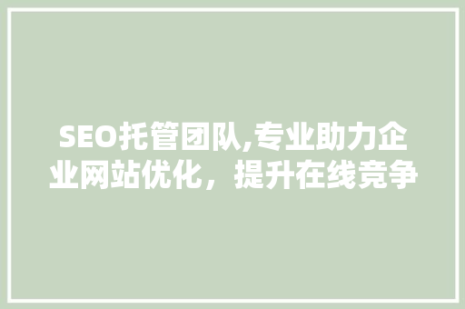 SEO托管团队,专业助力企业网站优化，提升在线竞争力