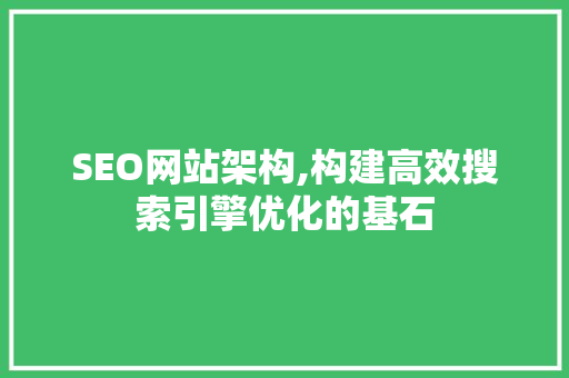 SEO网站架构,构建高效搜索引擎优化的基石