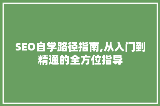 SEO自学路径指南,从入门到精通的全方位指导