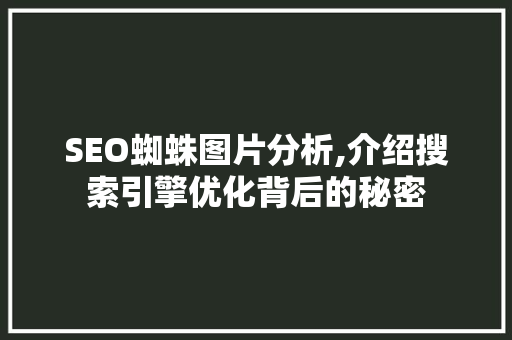 SEO蜘蛛图片分析,介绍搜索引擎优化背后的秘密