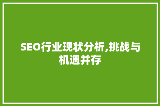 SEO行业现状分析,挑战与机遇并存
