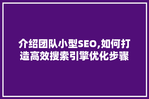 介绍团队小型SEO,如何打造高效搜索引擎优化步骤