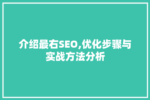 介绍最右SEO,优化步骤与实战方法分析