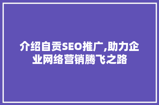 介绍自贡SEO推广,助力企业网络营销腾飞之路