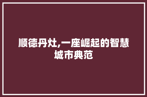 顺德丹灶,一座崛起的智慧城市典范 网站建设