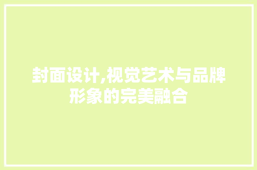 封面设计,视觉艺术与品牌形象的完美融合