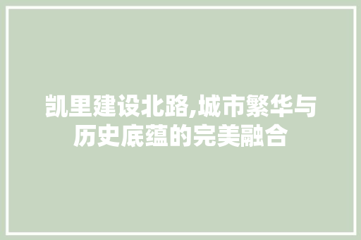凯里建设北路,城市繁华与历史底蕴的完美融合