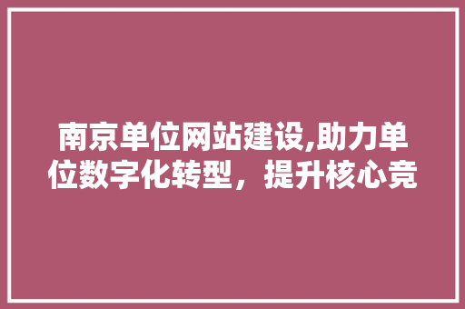 南京单位网站建设,助力单位数字化转型，提升核心竞争力