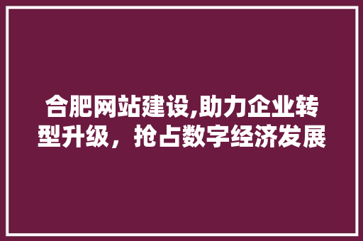 合肥网站建设,助力企业转型升级，抢占数字经济发展先机