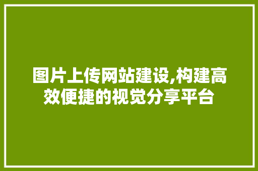 图片上传网站建设,构建高效便捷的视觉分享平台