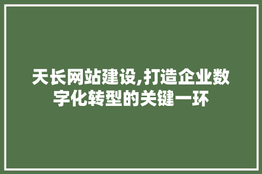天长网站建设,打造企业数字化转型的关键一环